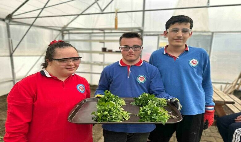 Özel öğrenciler okuldaki serada sebze yetiştiriyor
