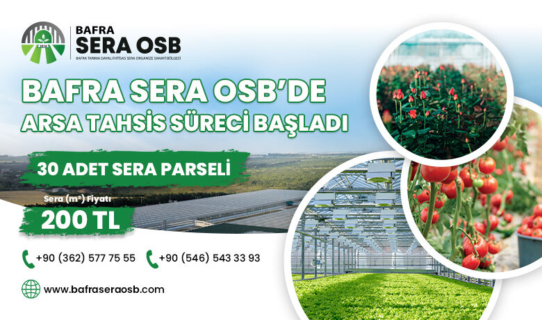 Bafra Sera Osb’de Arsa Tahsis Süreci Başladı - Bafra Sera OSB’de toplam 30 adet sera için metrekaresi 200 TL’den arsa tahsis süreci başladı.