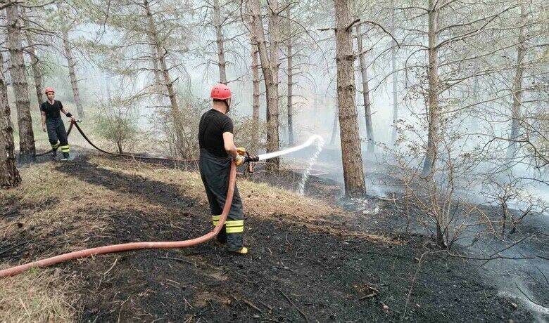 Havza Kılavuz Ormanı’nda korkutan yangın
 - Samsun’un Havza ilçesinde meydana gelen orman yangınında 2 dekarlık alan zarar gördü.