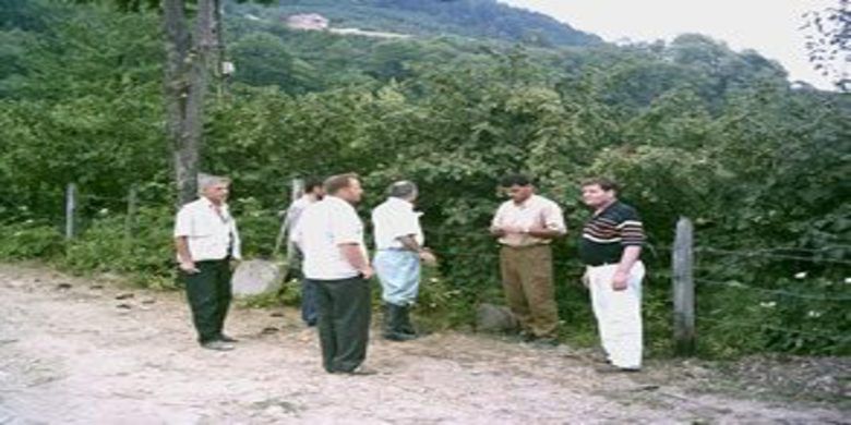 Fındık arazileri incelendi