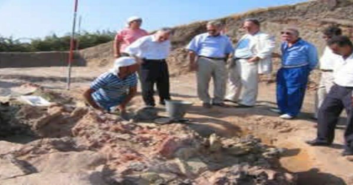 İkiztepe Kazıları yerinde İncelendi
