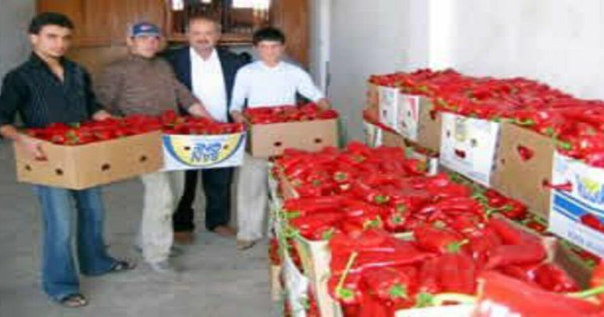 54 Bin Ton Salçalık Biber