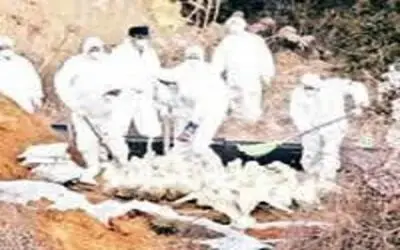 Kızılırmak deltasında kuş gribi yok