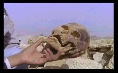 Denizden kafatası çıktı