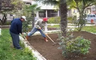 Yeşil alanlar kışa hazır...