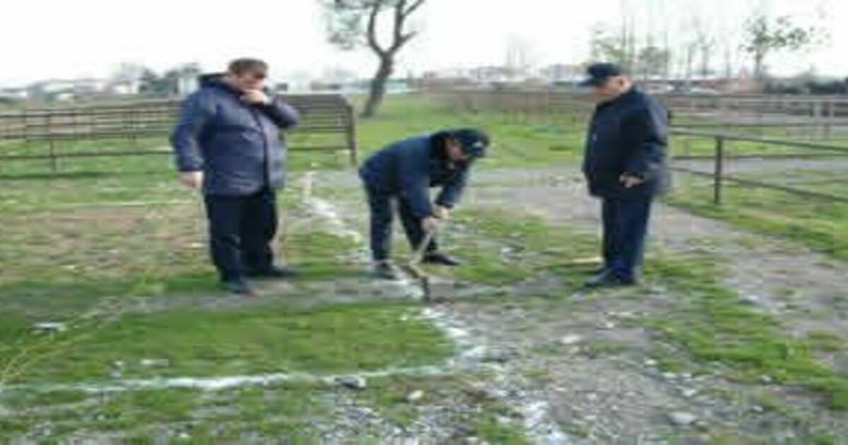 Kurbanlık satış yeri belirlendi