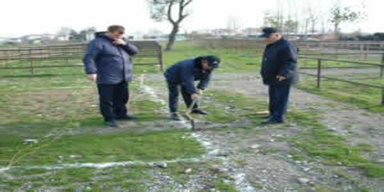 Kurbanlık satış yeri belirlendi - 0
