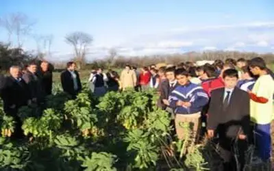 Tarımsal teknik gezi