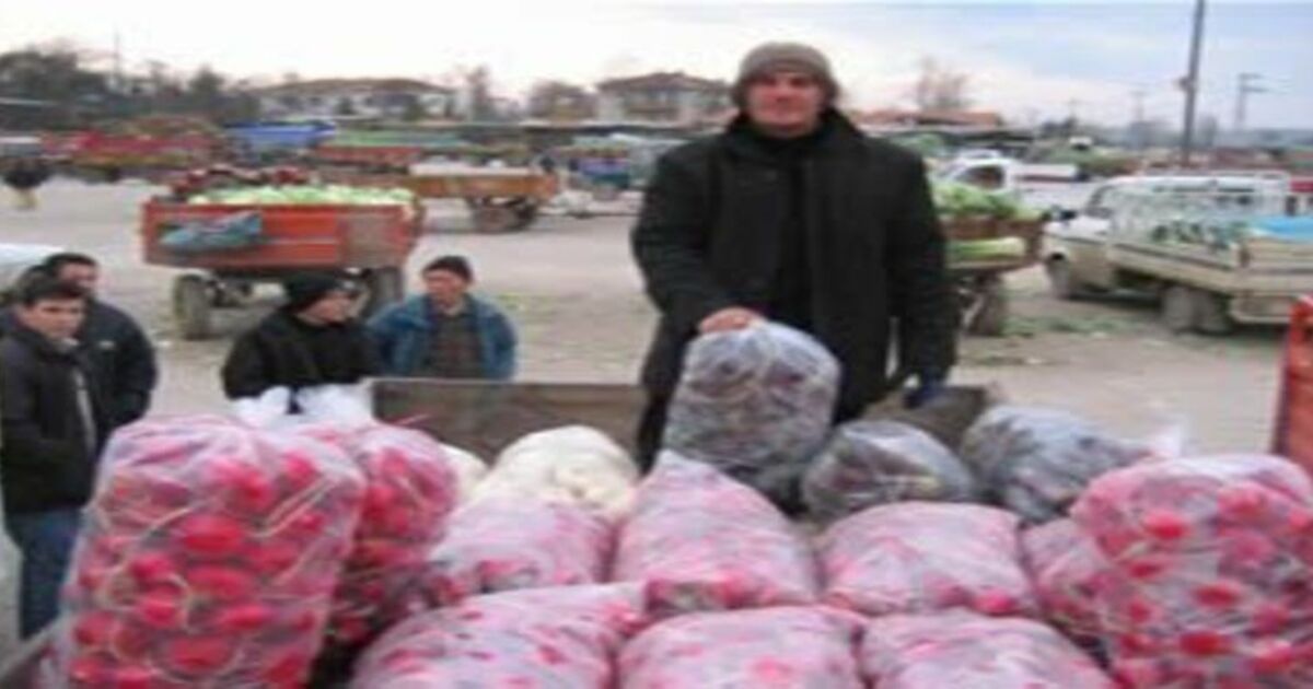 Turp umut oldu
