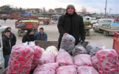Turp umut oldu