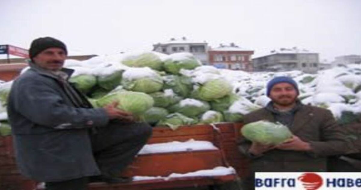 Sebze fiyatları borsayı aratmıyor