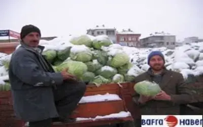Sebze fiyatları borsayı aratmıyor