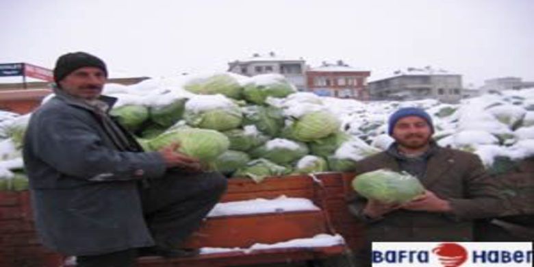 Sebze fiyatları borsayı aratmıyor - 0