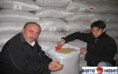 Sertifikalı çeltik tohumu olumlu