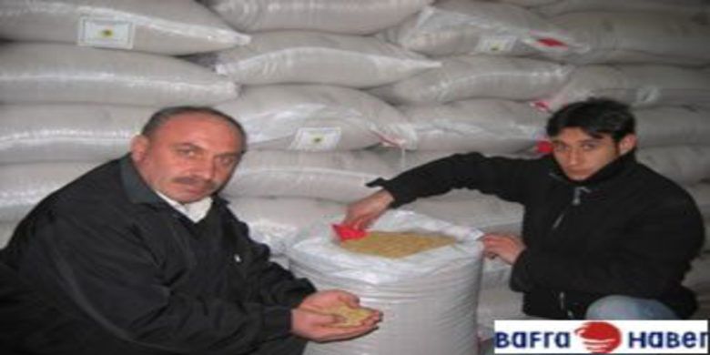 Sertifikalı çeltik tohumu olumlu - 0