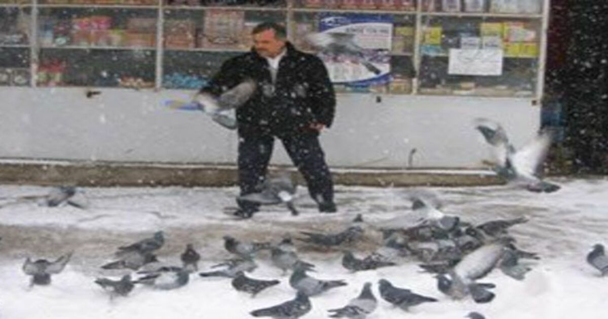 Kuş gribine inanmıyor
