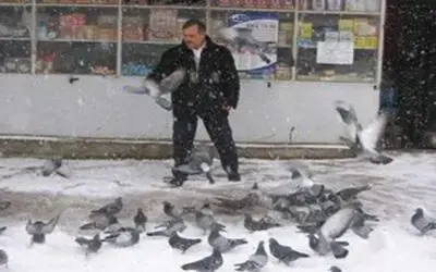 Kuş gribine inanmıyor