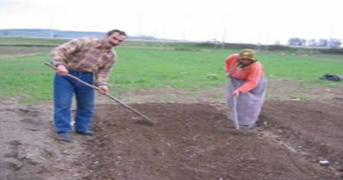 Tütüncünün çilesi başladı