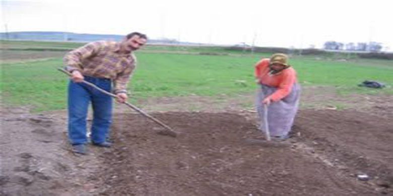 Tütüncünün çilesi başladı - 0