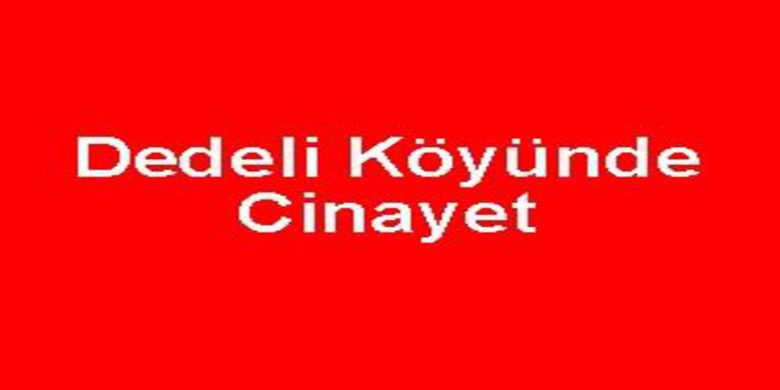 Dedeli Köyünde cinayet - 0