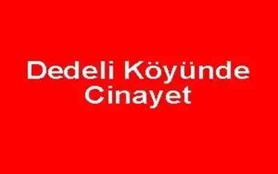 Dedeli Köyünde cinayet