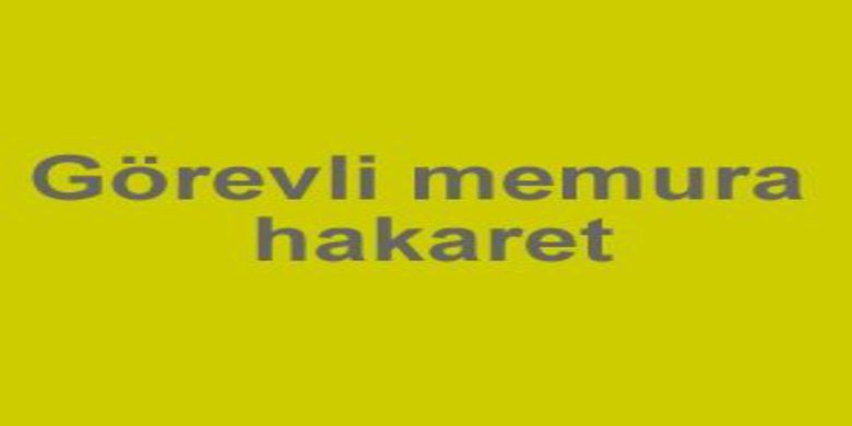 Görevli memura hakaret - 0