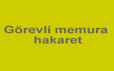 Görevli memura hakaret
