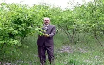Fındık üreticileri alın terinin karşılığını istiyor