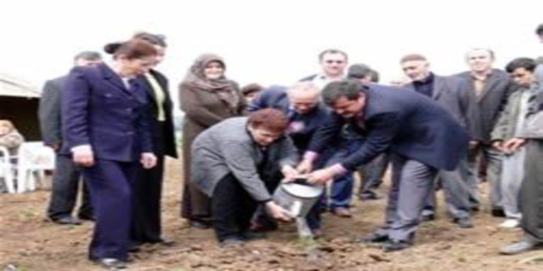 Engellilere hatıra ormanı - 0