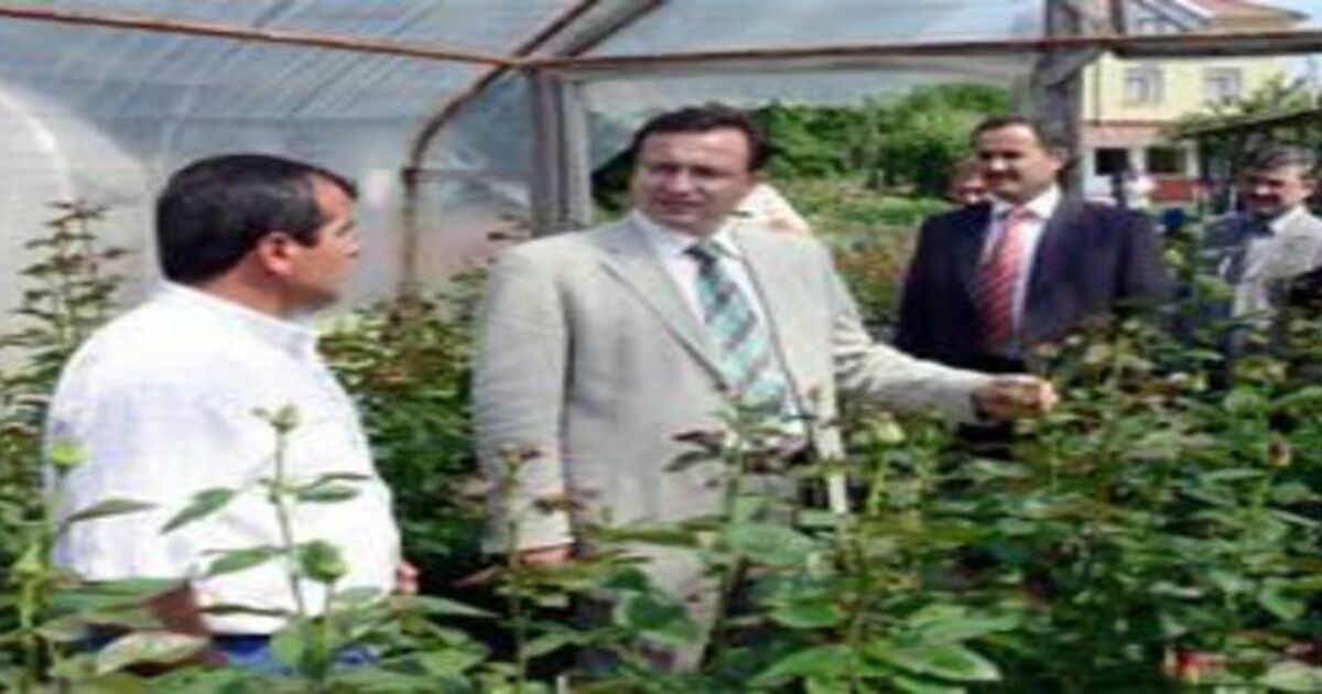 Üretici çiçekçiliğe yöneldi