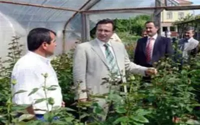 Üretici çiçekçiliğe yöneldi