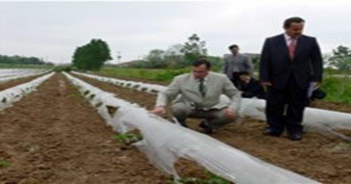 Bafra`da örtüaltı yetiştiriciliği