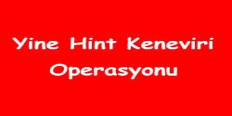 Bahçeler mahallesinde hint keneviri...