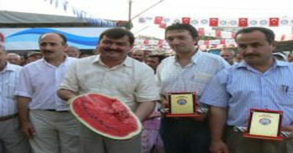 KAVUN VE KARPUZLAR YARIŞTI...