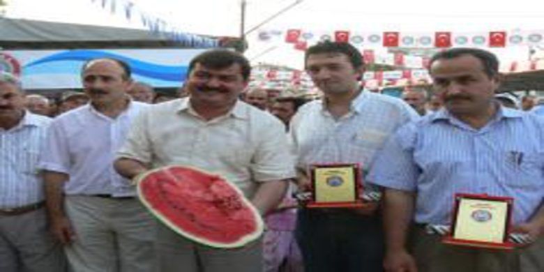 KAVUN VE KARPUZLAR YARIŞTI... - 0