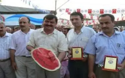 KAVUN VE KARPUZLAR YARIŞTI...