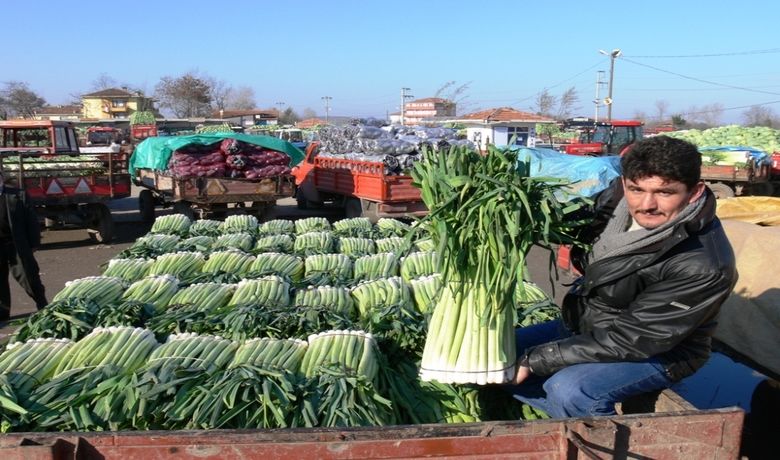 Pırasa Üreticisi Dertli Samsun'un Bafra İlçesi'nde PırasaÜreticileri, Fiyatların Düşük Seyretmesinden Ve Ürünlerini Satamamaktan Yakındı - Samsun'un Bafra İlçesi'nde pırasa üreticileri, fiyatların düşük seyretmesinden ve ürünlerini satamamaktan yakındı.