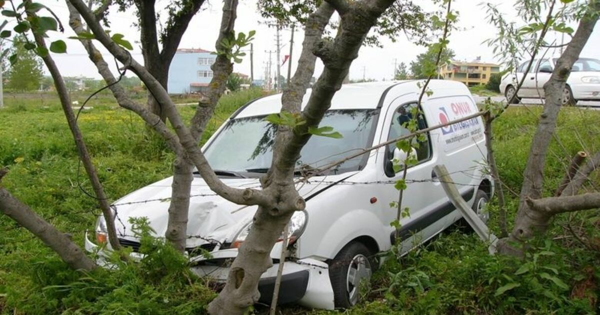 Kamyonet Yoldan Çıktı: 1 Yaralı