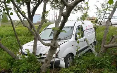 Kamyonet Yoldan Çıktı: 1 Yaralı