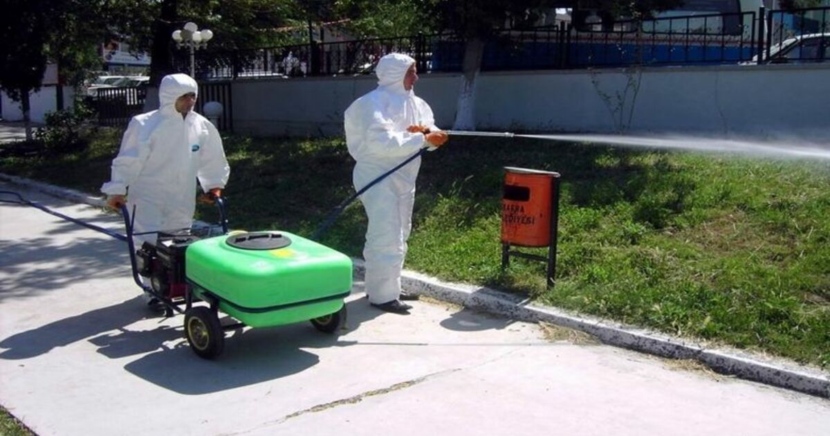 Bafra'da Haşerelere Karşı İlaçlama Samsun'un Bafra Belediyesi Tarafından Bahçeler, Piknik Alanları Ve Parklar İçin Haşerelere Karşı İlaçlandı