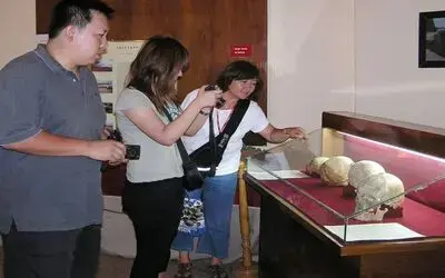 4 Bin 500 Yıllık Sır Müzede "Ameliyatlı Kafatasları" Olarak Teşhir Edilen 4 Kafatasının Beyin Ameliyatı İçin Mi Yoksa "Kötü Ruhlar"ın Çıkarılması İçin Mi Delindiği Sırrı Esrarını Koruyor