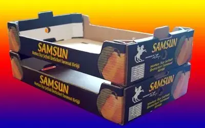 Samsun İl Özel İdaresi'nden Üreticilere Modern Ambalaj Tesisi Tarım İl Müdürlüğü İhale Yapıp Yaklaşık 230 Bin Ytl Tutarındaki Ambalaj Tesisini Alarak Bafra Sebze Yetiştirici Birliği'ne Teslim Edecek