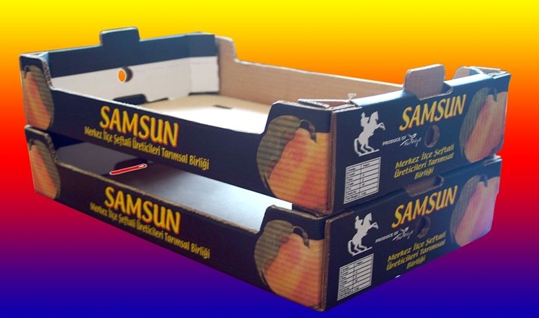 Samsun İl Özel İdaresi'nden Üreticilere Modern Ambalaj Tesisi Tarım İl Müdürlüğü İhale YapıpYaklaşık 230 Bin Ytl Tutarındaki Ambalaj Tesisini Alarak Bafra Sebze Yetiştirici Birliği'ne Teslim Edecek - Samsun İl Özel İdaresi Genel Sekreteri Aslan Karanfil, Türkiye'nin sebze ambarı Bafra Ovası'ndaki üreticilere destek amacıyla yaklaşık 230 bin YTL tutarındaki modern ambalaj tesisini Tarım İl Müdürlüğü aracılığıyla Bafra Meyve Sebze Yetiştirici Birliği'ne alacaklarını bildirdi.
