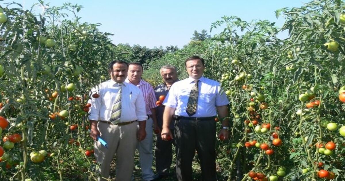 Bafra Kaymakamı Bekir Dınkırcı'nın Köy Ziyareti