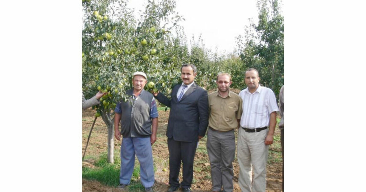 Deveci Armudu Üreticinin Yüzü Güldürdü