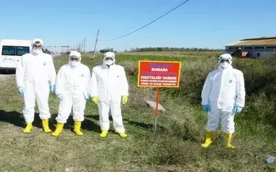 Kızılırmak Deltası'nda Kuş Gribi Tatbikatı Göçmen Kuşların Uğrak Yeri Olan Kuş Cenneti Bulunan Kızılırmak Deltası'nda, Kuş Gribi Salgınına Karşı Tatbikat Yapıldı