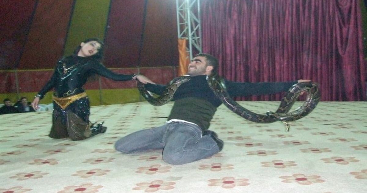 Moğolistan Ulusal Devlet Sirki Bafra'da