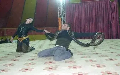 Moğolistan Ulusal Devlet Sirki Bafra'da