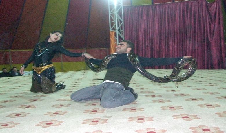 Moğolistan Ulusal Devlet Sirki Bafra'da - Samsun'un Bafra ilçesinde gösteri sunan Moğolistan Ulusal Devlet Sirki, izleyenleri büyülüyor. Bafra Belediyesi'nin katkılarıyla ilçeye getirilen ve Alparslan Türkeş Parkı yanındaki Bafra Belediyesi Fuar Alanı'nda kurulan sirk çadırında Moğolistan Ulusal Devlet Sirki ekibi gösteri yapıyor. Bafra'da 25 Kasım'a kadar gösterilerini sürdürecek olan sirk, hafta içi ve hafta sonu aynı saatlerde gösteri yapıyor. Hafta içi 18.30-20.30 olmak üzere iki ve hafta sonu 14.00-18.30-20.30 saatleri arasında toplam 5 seans gösterilerini sunan Moğolistan Ulusal Devlet Sirki'ne Bafralılar yoğun ilgi gösteriyor. Moğolistan Ulusal Devlet Sirki'nin gösterilerini izleyenlerin çoğunluğunun çocuklar olması dikkat çekiyor.