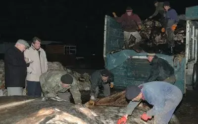 Thk'ya Deri Bağışı Bu Yıl Arttı Samsun'da, Thk Tarafından 17 Bin 863 Adet Kurban Derisi Toplandı